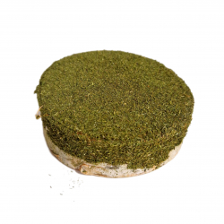 Factoryherbs KRĄŻEK BRZOZOWY Z KOLENDRĄ 1 SZT